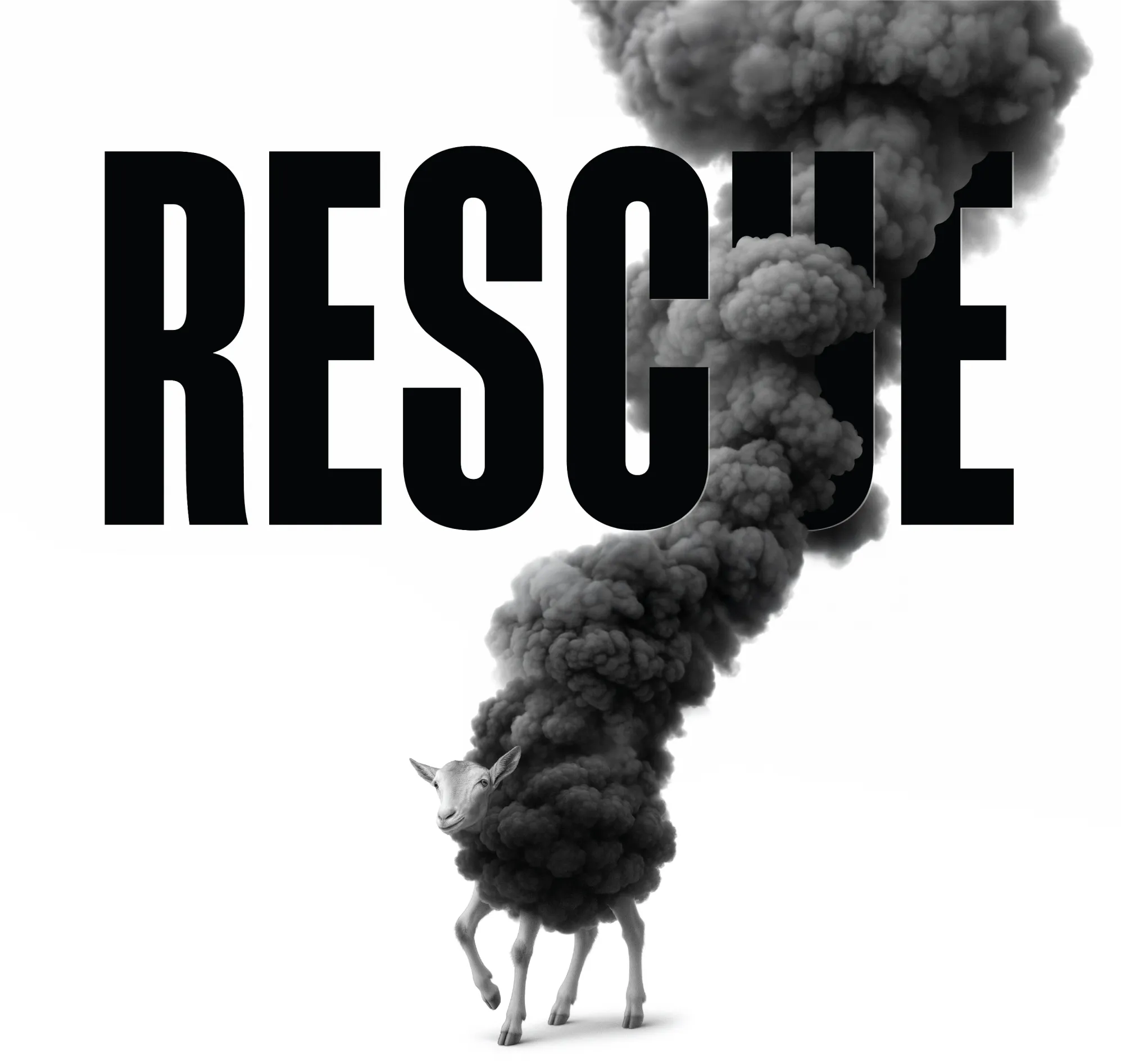 RESCUE