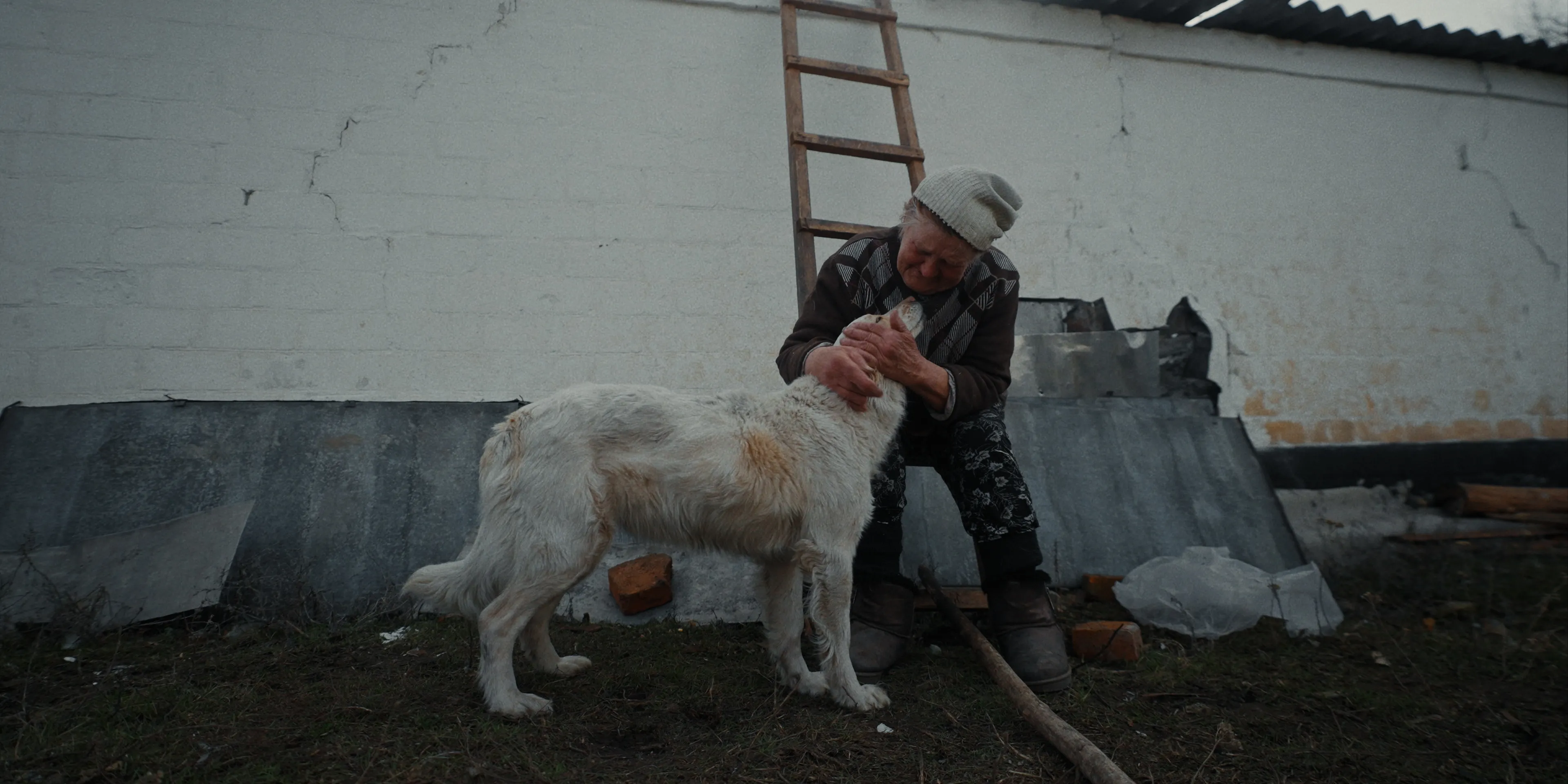 RESCUE still